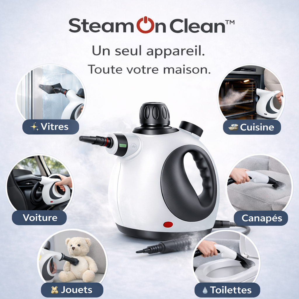Nettoyeur vapeur
