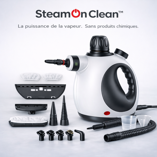 Nettoyeur vapeur
