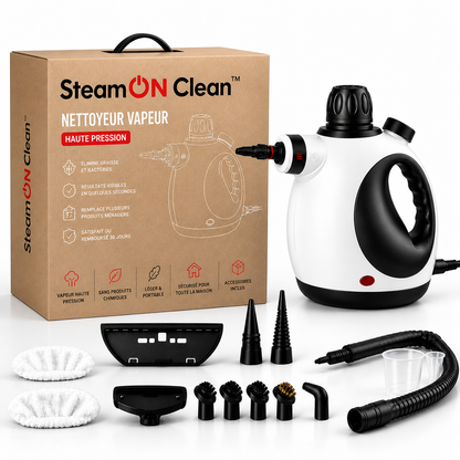 Nettoyeur vapeur